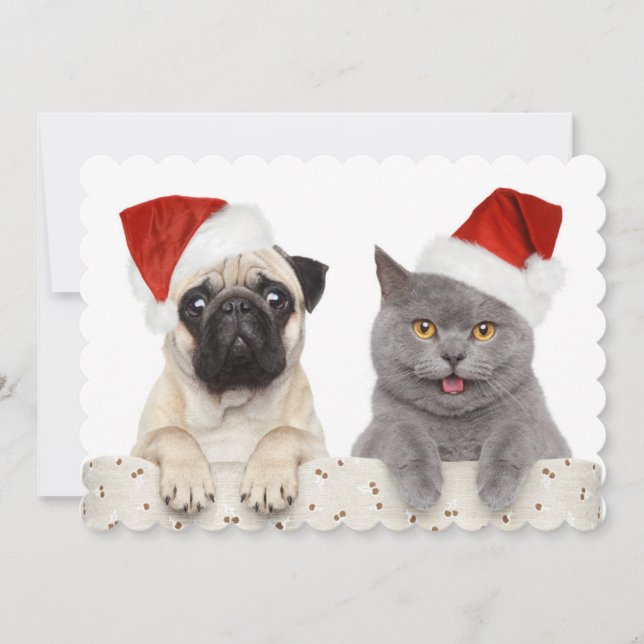 Dog And Cat In Red Christmas Hat Holiday Card (Front)