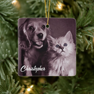 Dog and Cat, Looking Up Personalised Ceramic Ornament