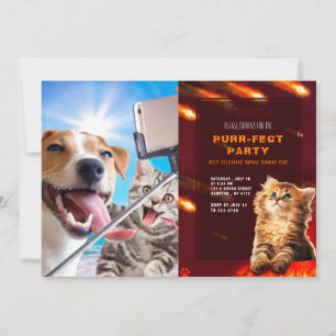 Dog and cat photographed selfie on the phone invitation