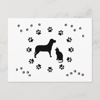 Dog and Cat Postcard