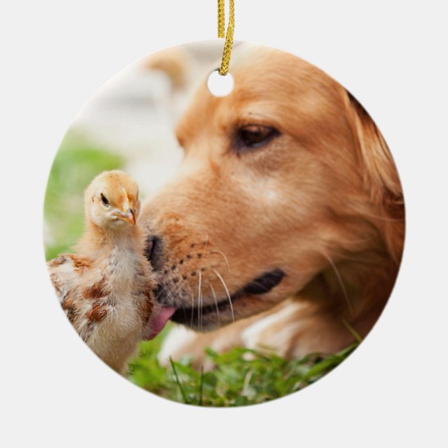 Dog and Chick Ceramic Tree Decoration (Front)