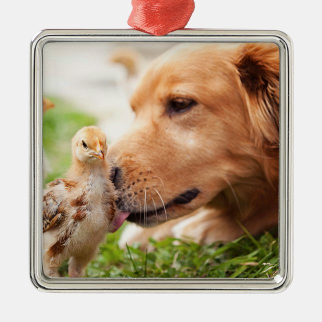 Dog and Chick Metal Tree Decoration (Front)