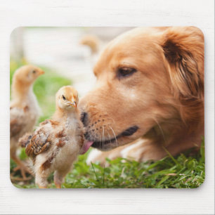 Dog and Chick Mouse Pad