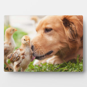 Dog and Chick Plaque