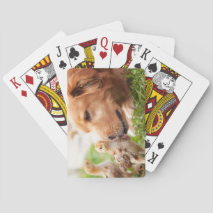 Dog and Chick Playing Cards