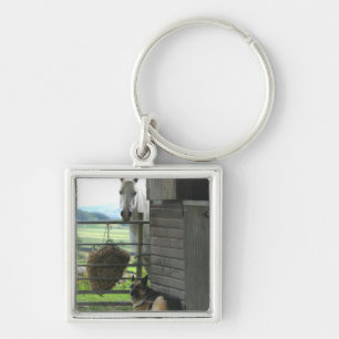 Dog and horse at ranch in Menton, France Key Ring