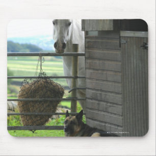 Dog and horse at ranch in Menton, France Mouse Pad