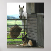 Dog and horse at ranch in Menton, France