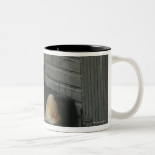 Dog and horse at ranch in Menton, France Two-Tone Coffee Mug