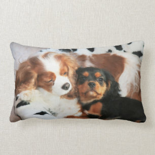 Dog And Puppy Cavalier King Charles Spaniel Pillow