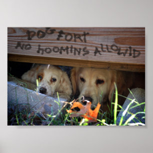 Dog and Puppy in Dog Fort Poster
