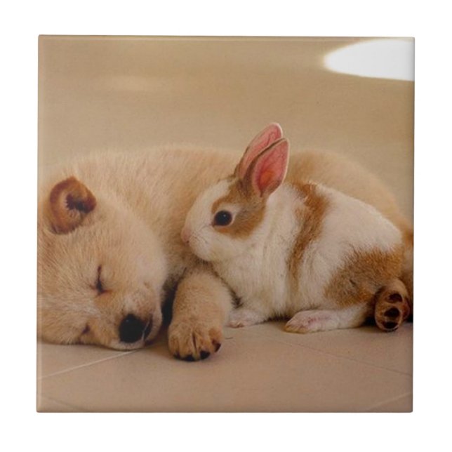 Dog and rabbit ceramic tile (Front)
