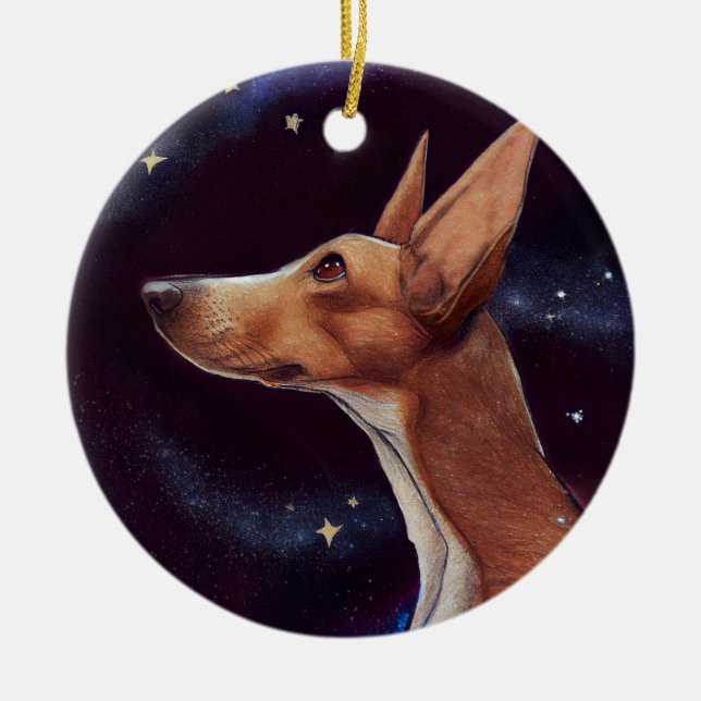 Dog and Stars Art Night Sky  Ceramic Ornament (Front)