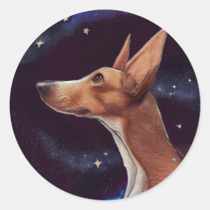Dog and Stars Art Night Sky  Classic Round Sticker