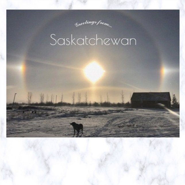 Dog and Sun Dog in Archydal Saskatchewan Canada Postcard (Creator Uploaded)