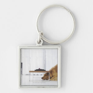 Dog and table key ring