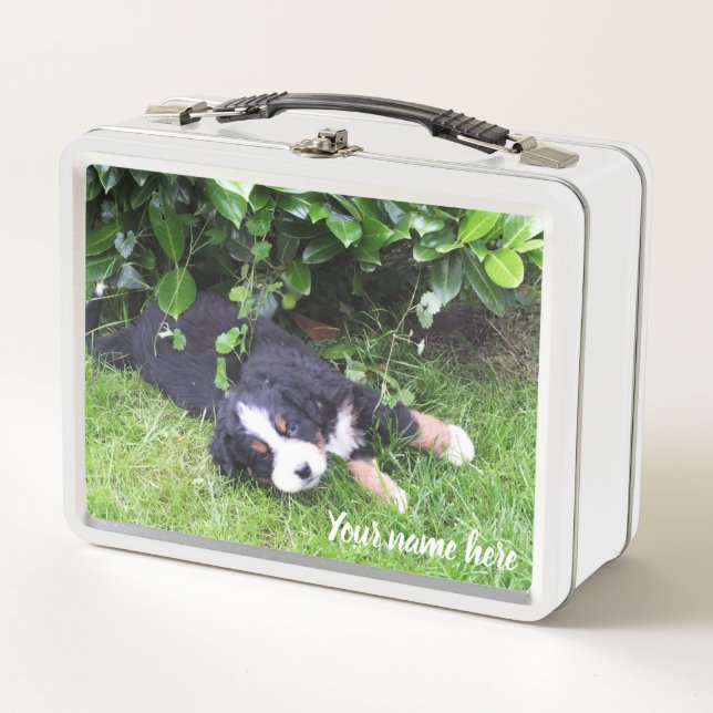 dog,Animal,lunch box ,Case,colourful+ craft, (Front)