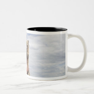 dog at beach Two-Tone coffee mug