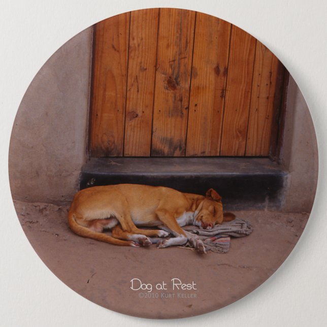 Dog at Rest 6 Cm Round Badge (Front)