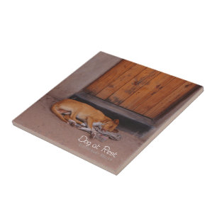 Dog at Rest Ceramic Tile