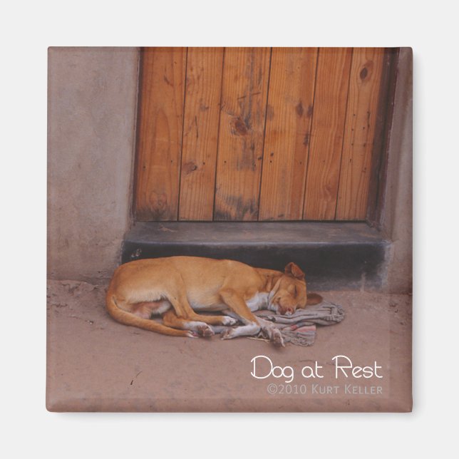 Dog at Rest Magnet (Front)