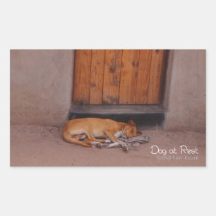 Dog at Rest Rectangular Sticker