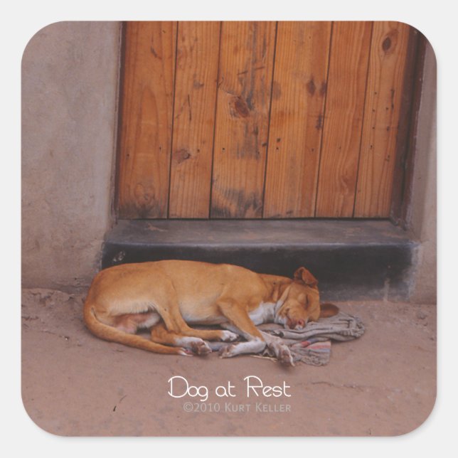 Dog at Rest Square Sticker (Front)