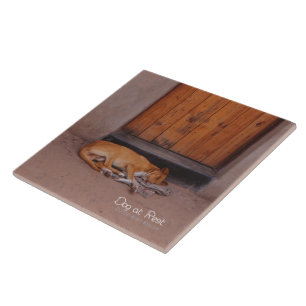 Dog at Rest Tile