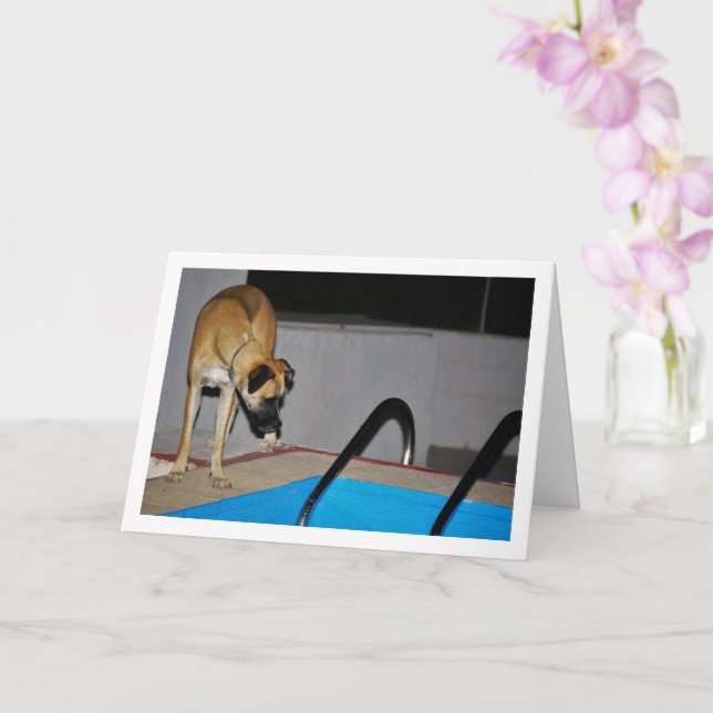 Dog at Swimming Pool Card (Orchid)