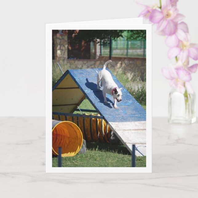 Dog at Training School Card (Orchid)