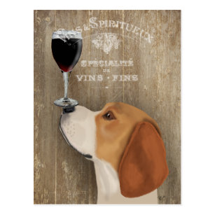 Dog Au Vin Beagle Postcard