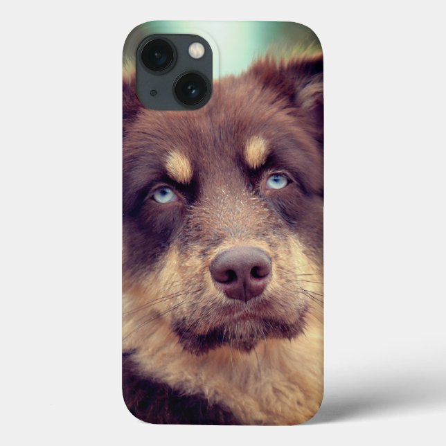 Dog, Australian shepherd, Pet Case-Mate iPhone Case (Back)
