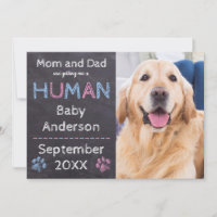 Dog Baby Pregnancy Announcement