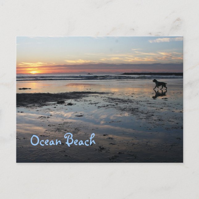 Dog Beach, Ocean Beach Postcard (Front)