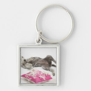 Dog behaviour training key ring