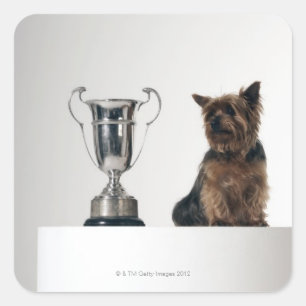 Dog beside a large silver trophy square sticker