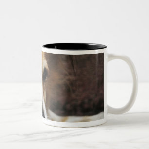 Dog, Bhaktapur, Bhaktapur District, Bagmati, Two-Tone Coffee Mug
