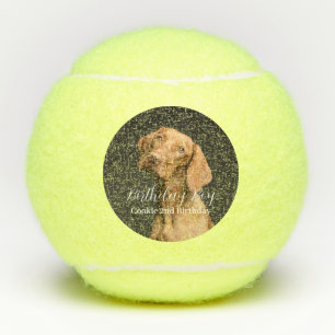 Dog Birthday Boy Modern Photo Tennis Balls