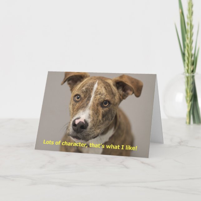 Dog Birthday Card (Front)