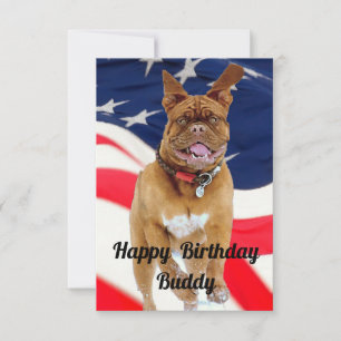 Dog Birthday Card