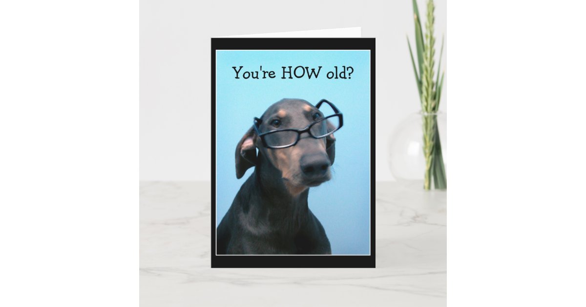 Dog birthday funny greeting card