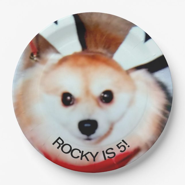 Dog Birthday Party Custom Photo Paper Plate (Front)