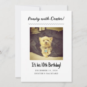 Dog Birthday Party - Funny Invitation with Photo