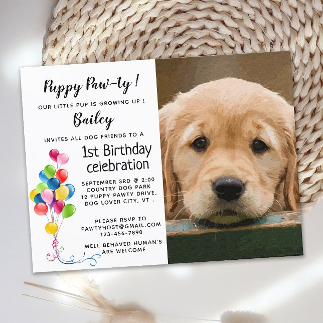 Dog Birthday Party Pet Photo Puppy Pawty Postcard (Creator Uploaded)