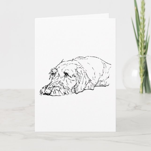 Dog Birthday, Wire Haired Dachshund - Cute  Card (Front)