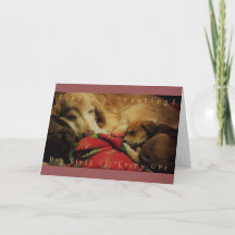 "Dog Bless Us Every One" Holiday Greeting Card