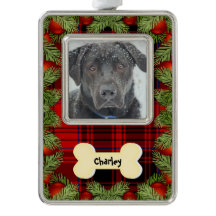 Dog Bone Red Christmas Add Your Name and Photo
