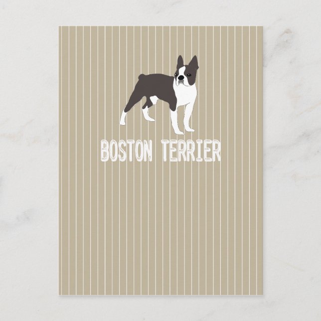 dog-Boston Terrier Postcard (Front)