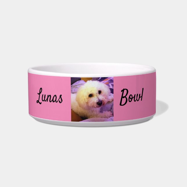 Dog bowl (Front)