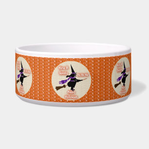 Dog Bowl Broom Stick Witch
